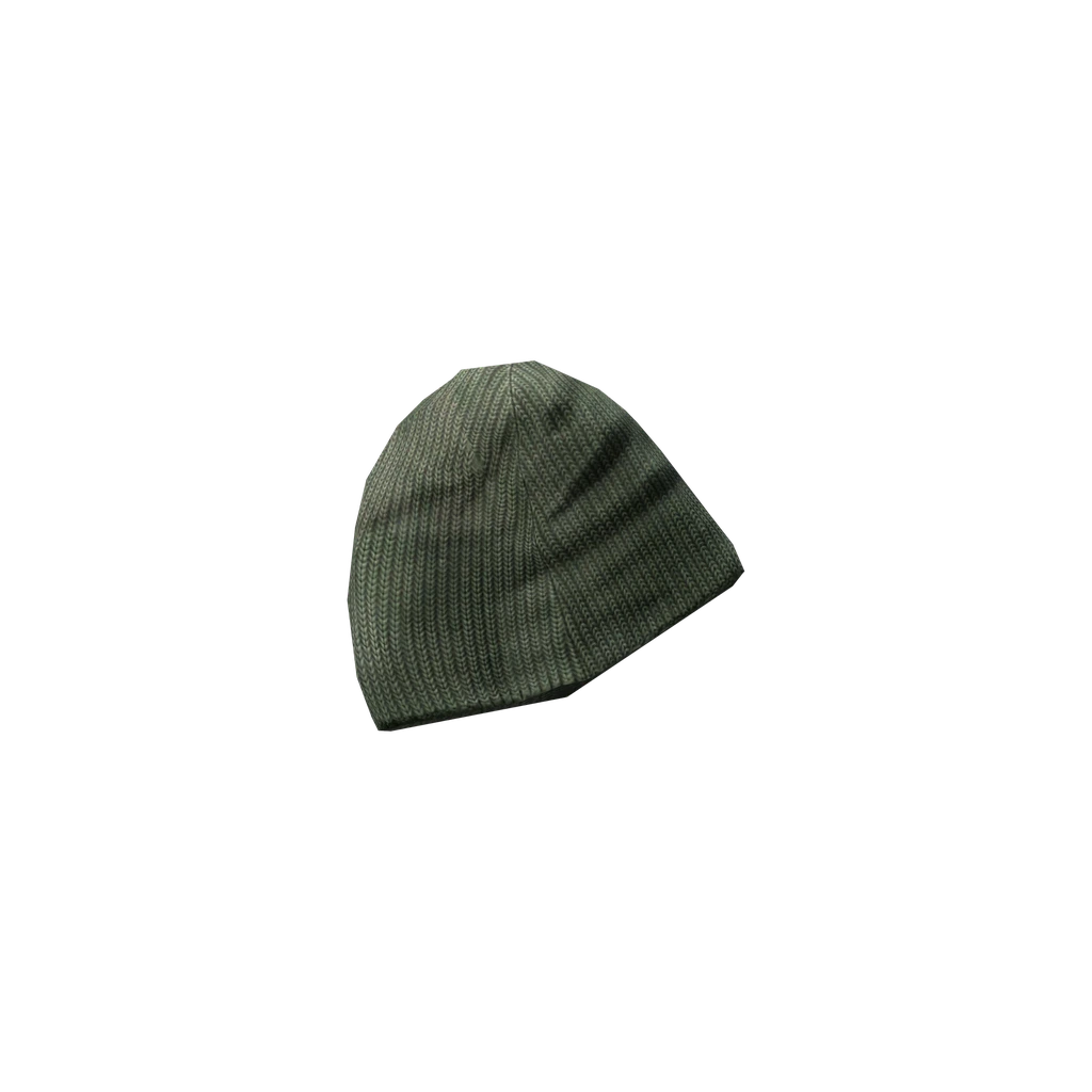 Beanie (BeanieHat_Green), DayZ