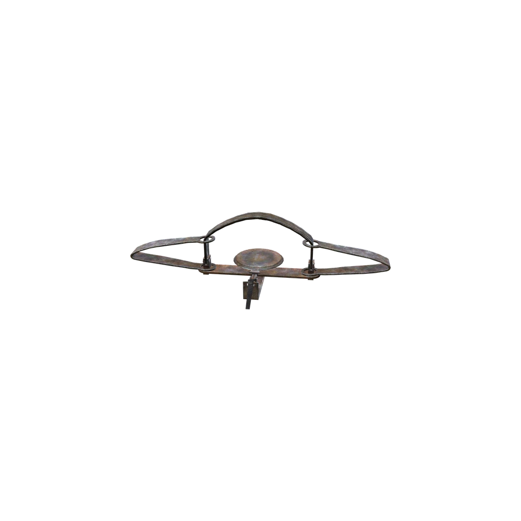Armadilha de urso (BearTrap), DayZ