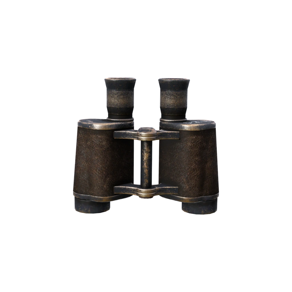 Бинокль (Binoculars), DayZ