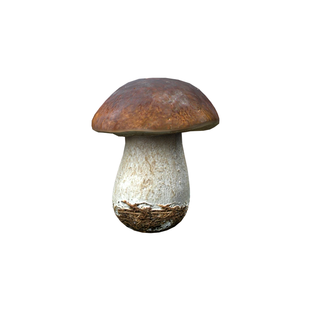 Белый гриб (BoletusMushroom), DayZ