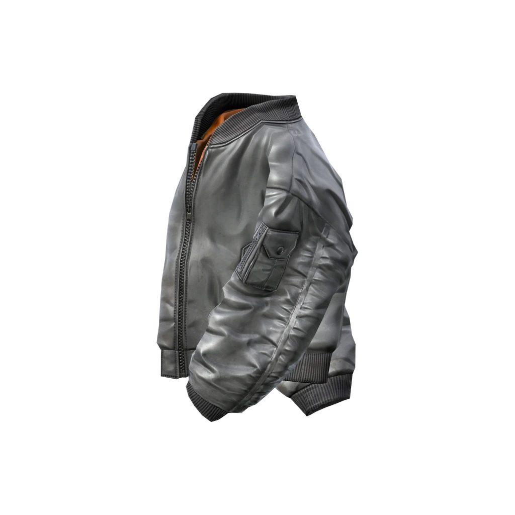 Бомбер (BomberJacket_Grey), DayZ