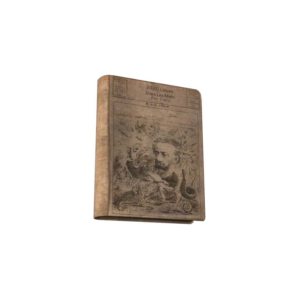 20000 Lieues sous les mers (Book20000LieuesSousLesMers), DayZ