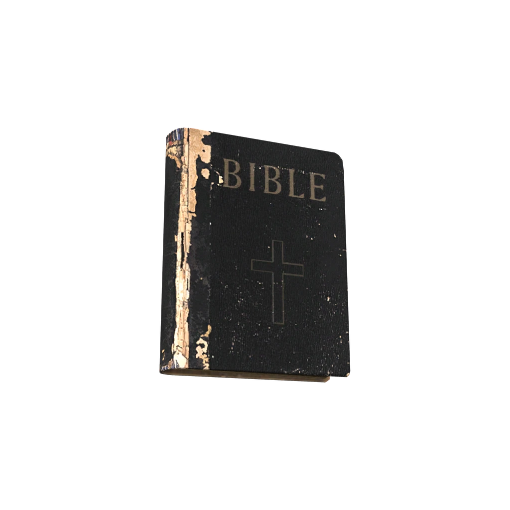 The Bible (BookBible), DayZ