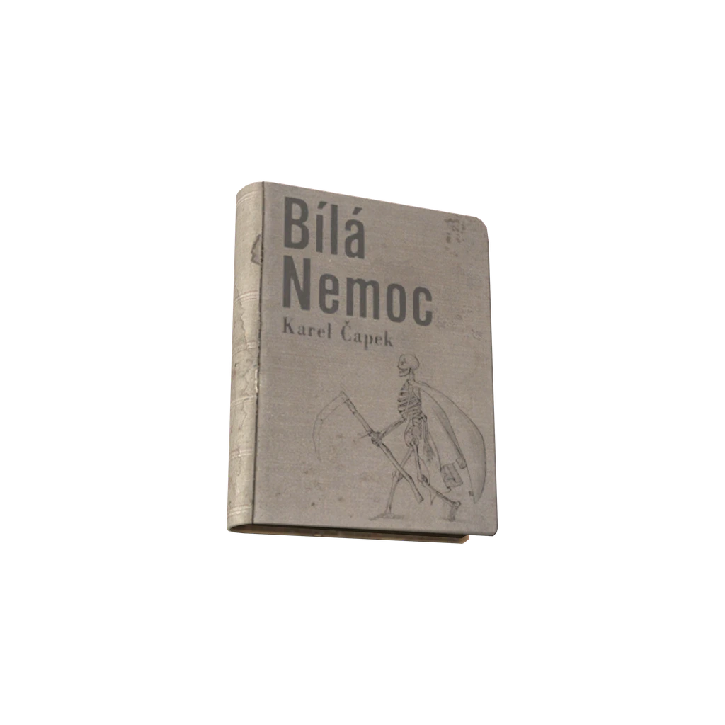 Bila nemoc (BookBilaNemoc), DayZ