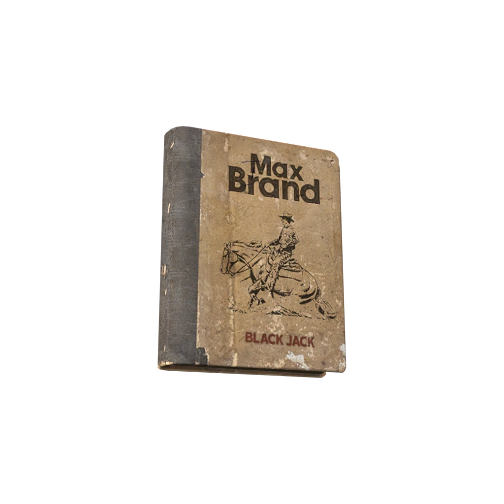 Black Jack (BookBlackJack), DayZ