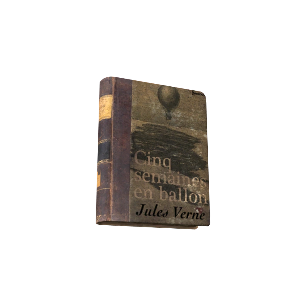 Cinq Semaines En Ballon (BookCinqSemainesEnBallon), DayZ