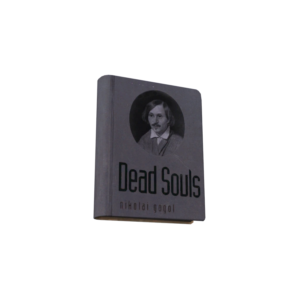 Dead Souls (BookDeadSouls), DayZ