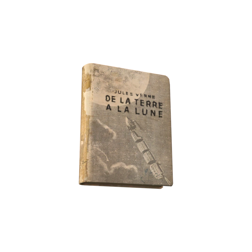 De la terre a la lune (BookDeLaTerreLaLune), DayZ