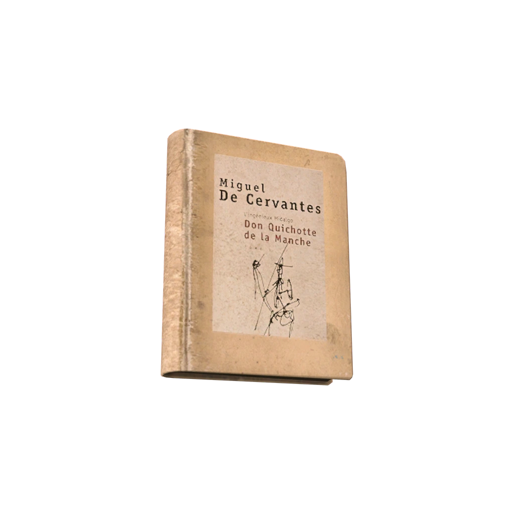 L’Ingénieux Hidalgo Don Quichotte de la Manche (BookDonQuichotte), DayZ