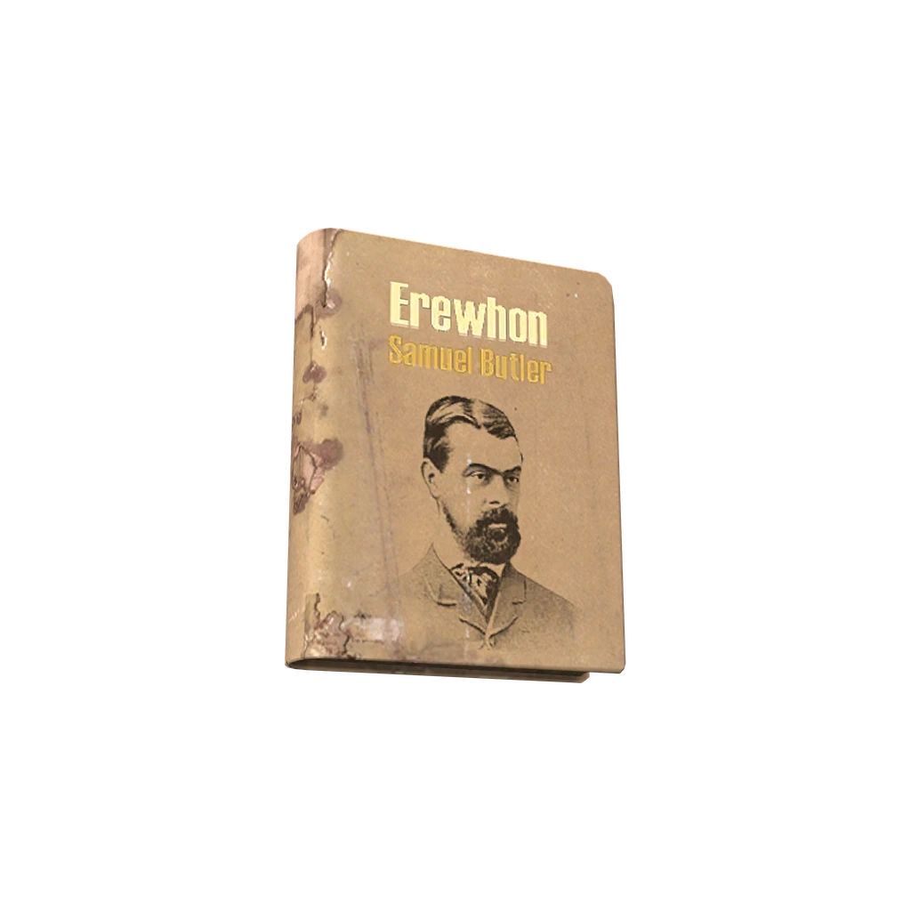 Erewhon (BookErewhon), DayZ