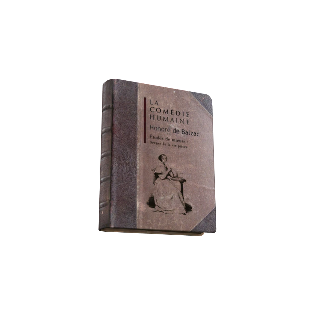 La Comédie humaine volume I (BookLaComdieHumaine), DayZ