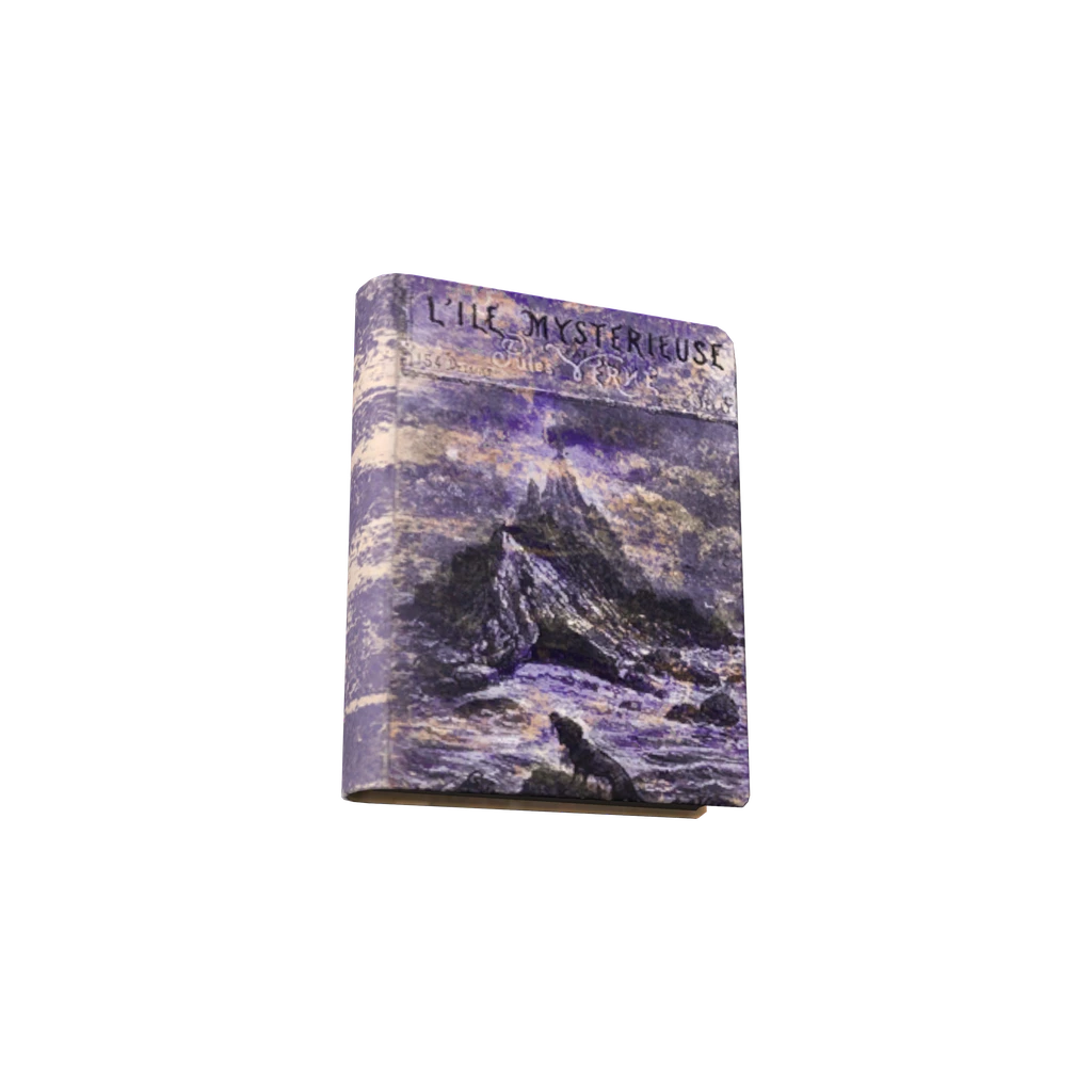 L'Île mystérieuse (BookLleMystrieuse), DayZ