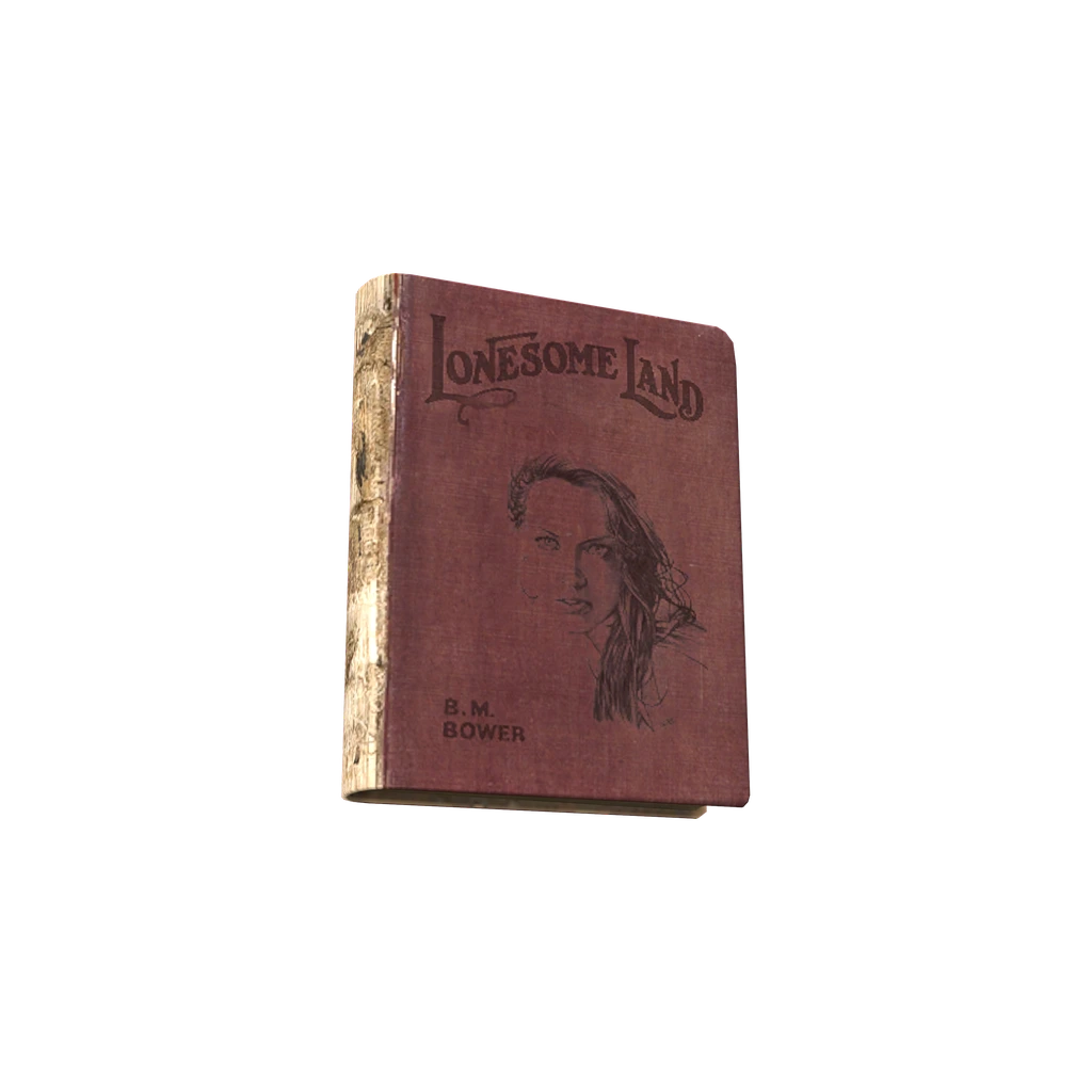 Lonesome Land (BookLonesomeLand), DayZ