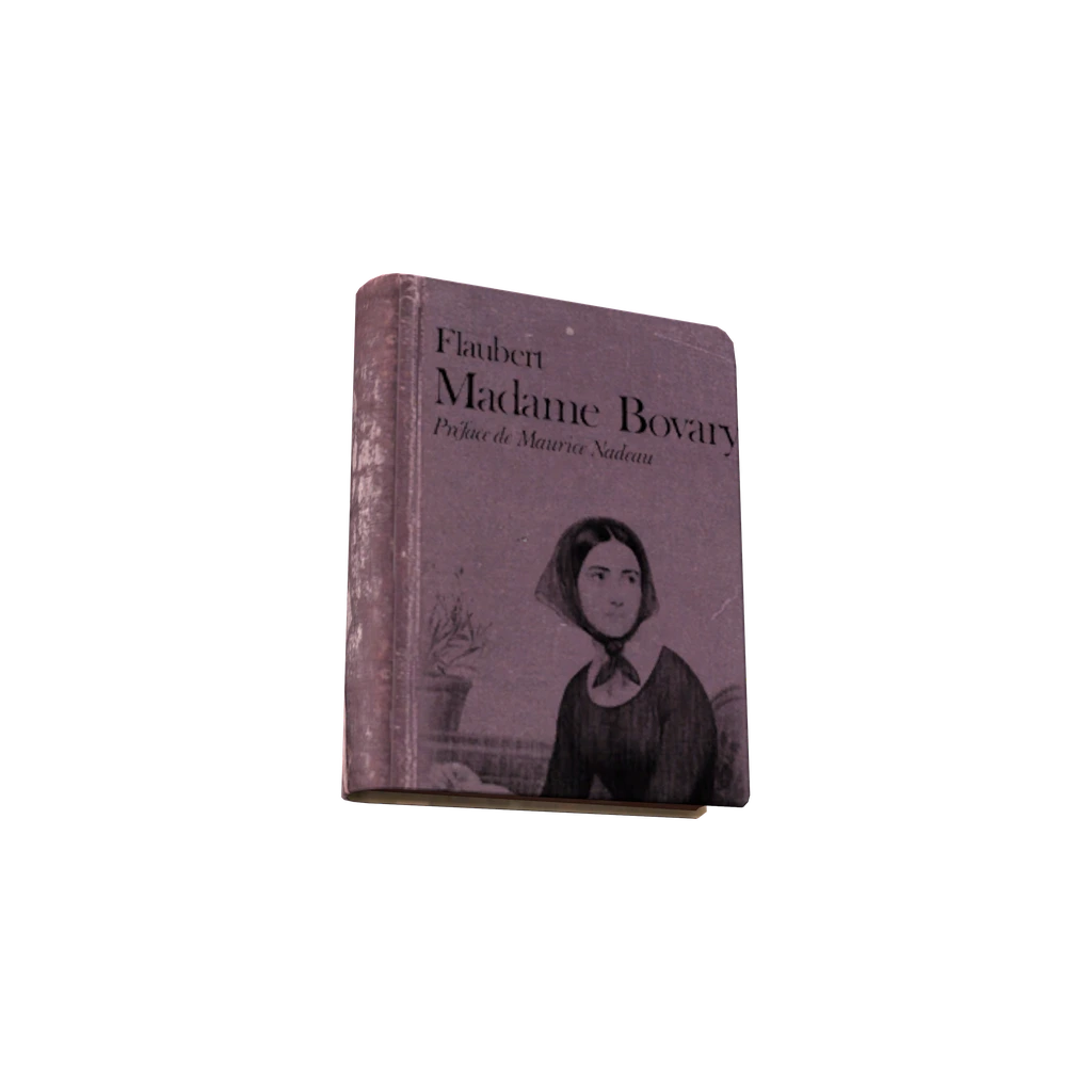 Madame Bovary (BookMadameBovary), DayZ