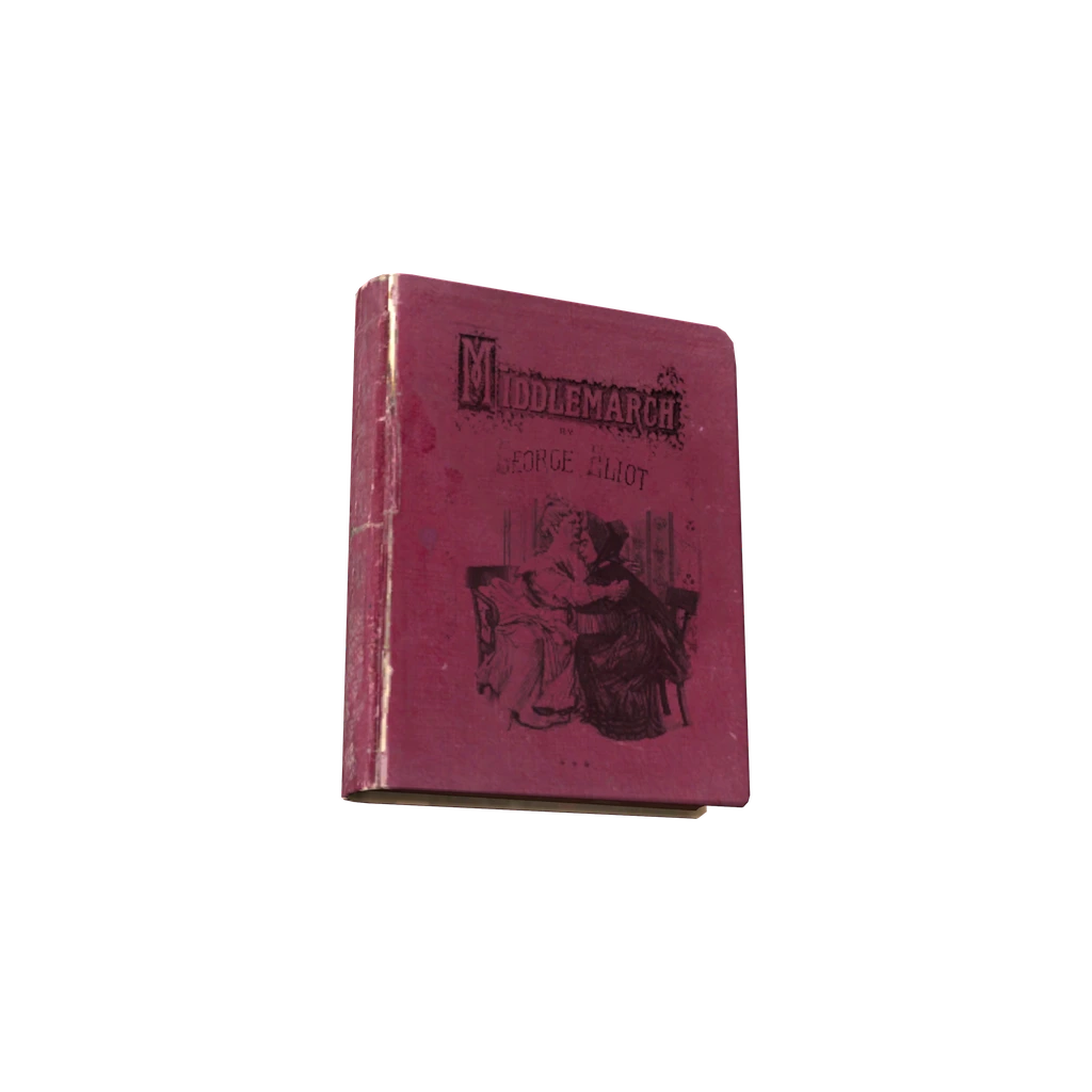 Middlemarch (BookMiddlemarch), DayZ