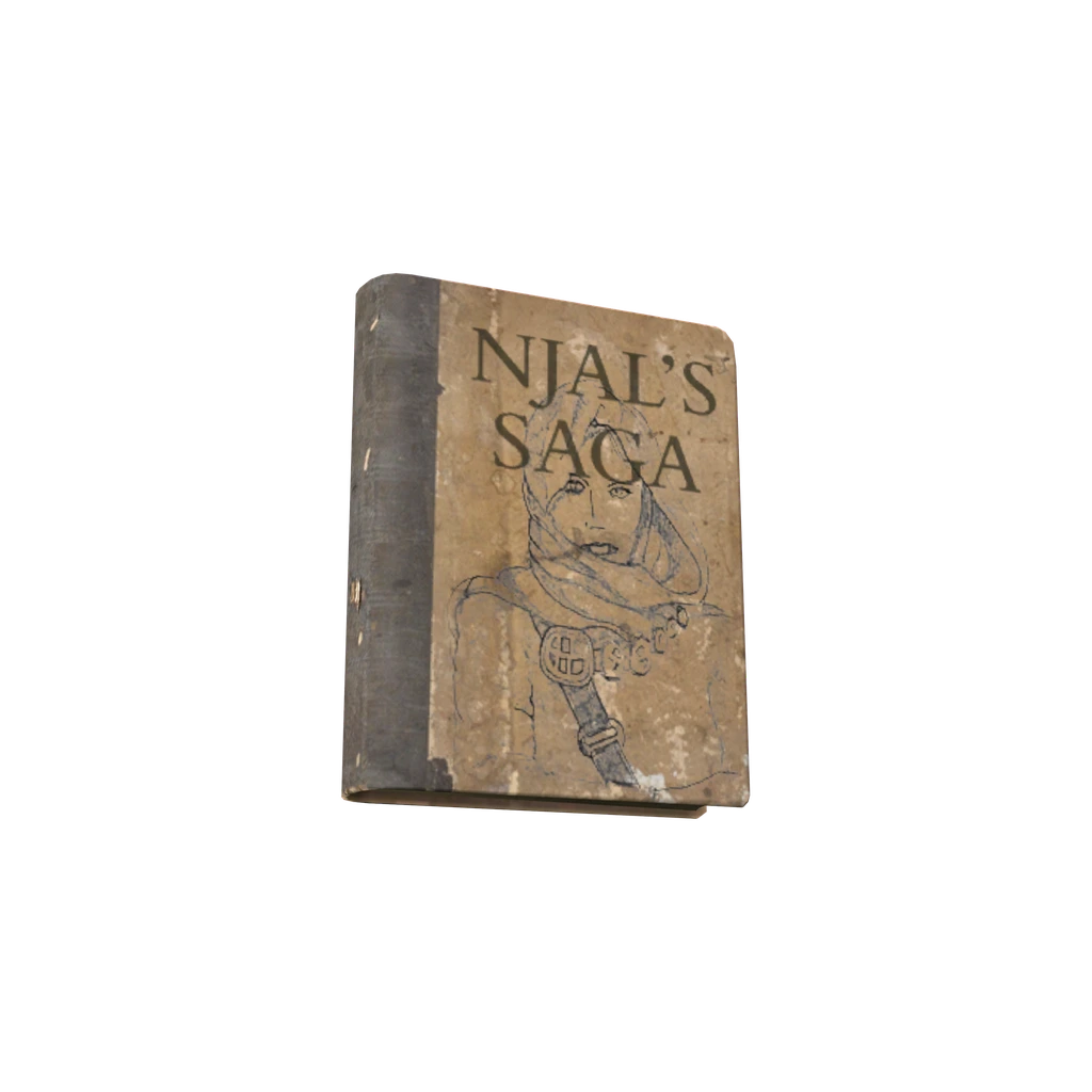 Njal's Saga (BookNjalsSaga), DayZ