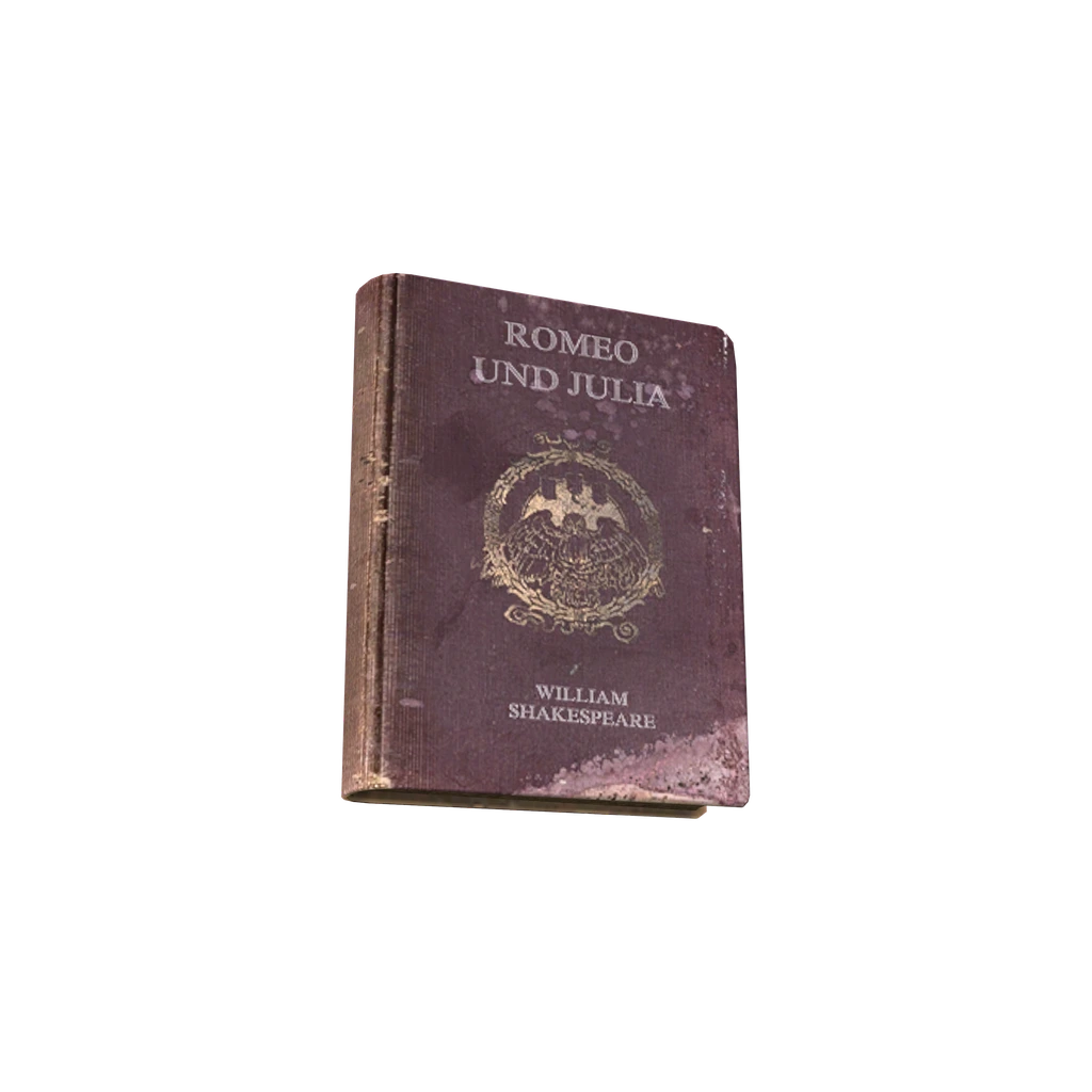 Romeo und Julia (BookRomeoUndJulia), DayZ