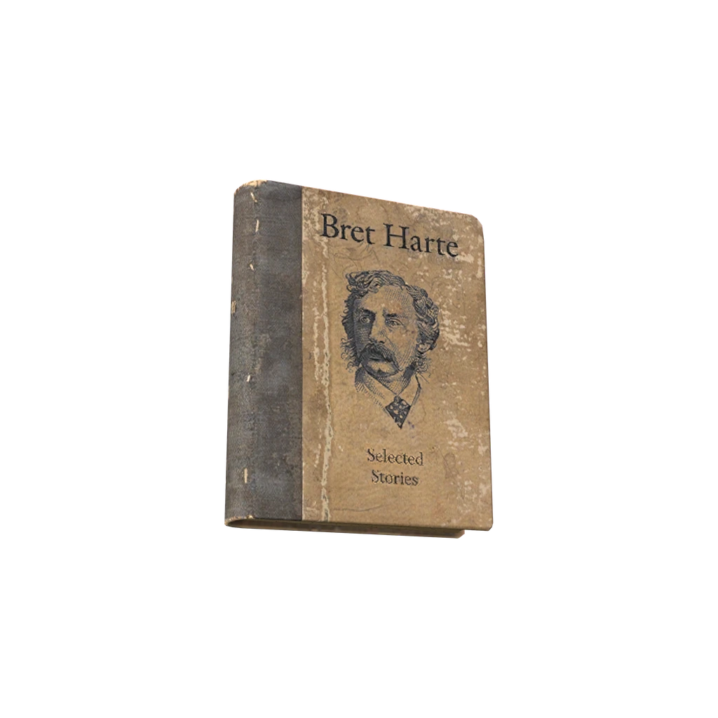 Selected Stories (BookSelectedStories), DayZ