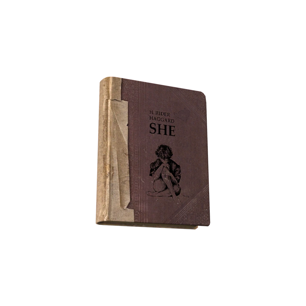 She (BookShe), DayZ