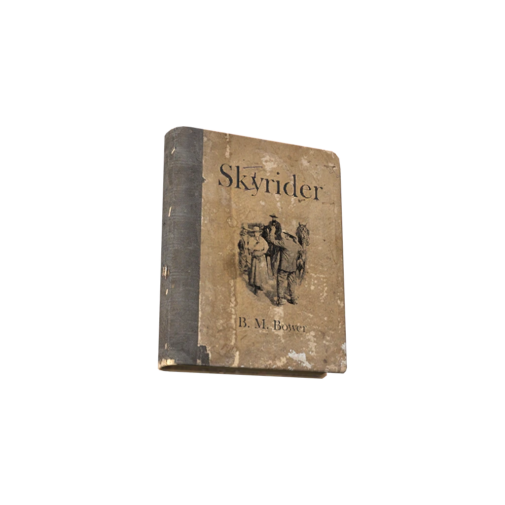 Skyrider (BookSkyrider), DayZ
