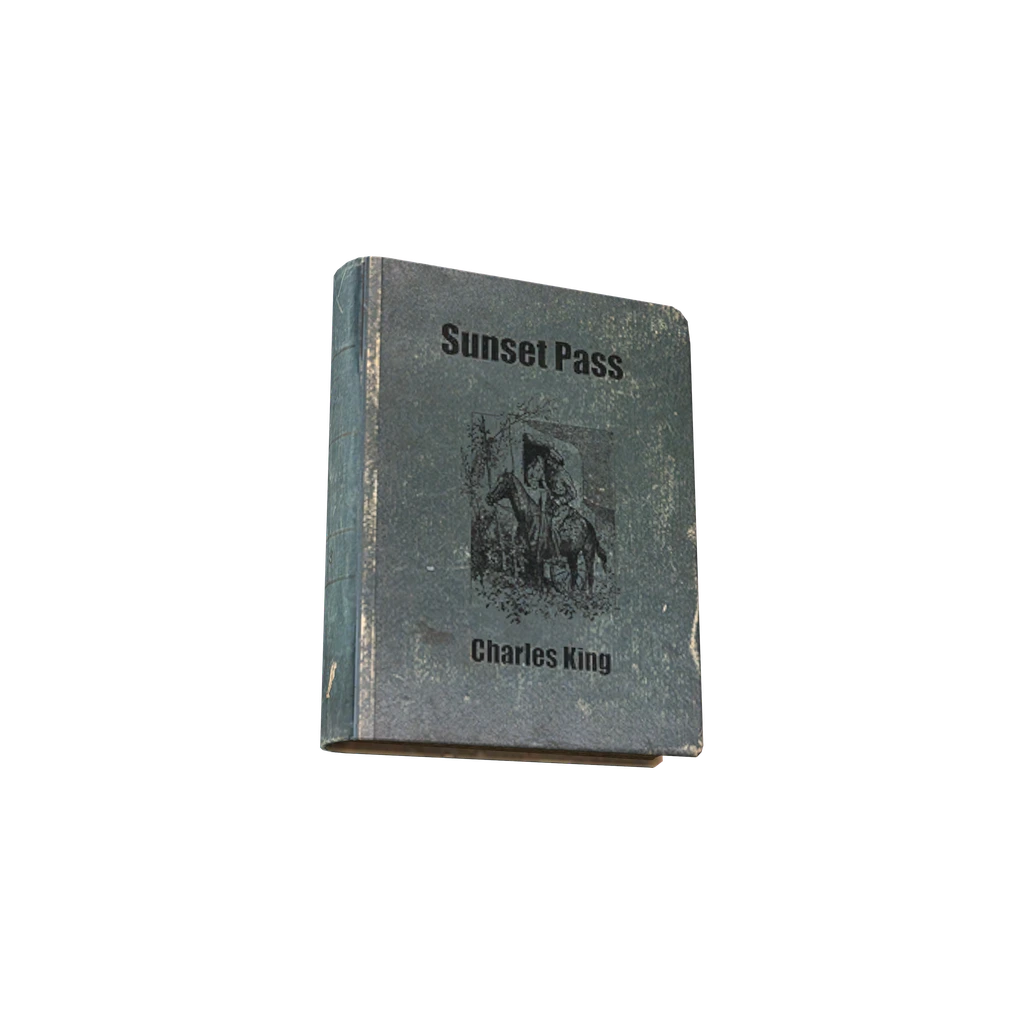 Sunset Pass (BookSunsetPass), DayZ