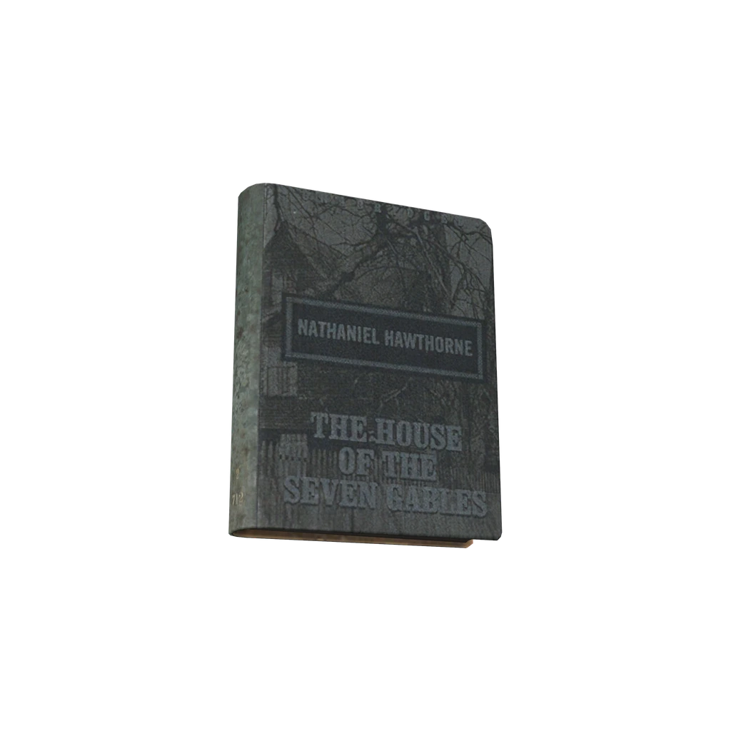 The House of the Seven Gables (BookTheHouseOfTheSevenGables), DayZ