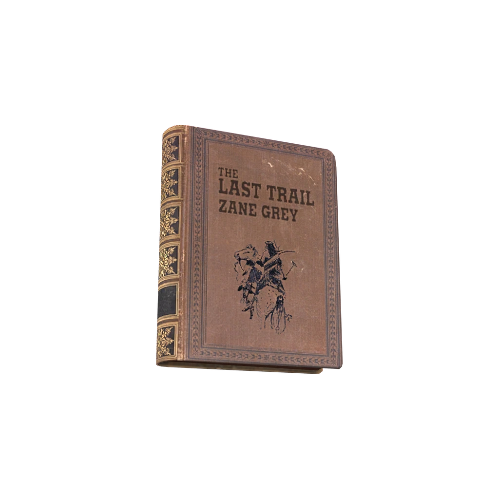 The Last Trail (BookTheLastTrail), DayZ