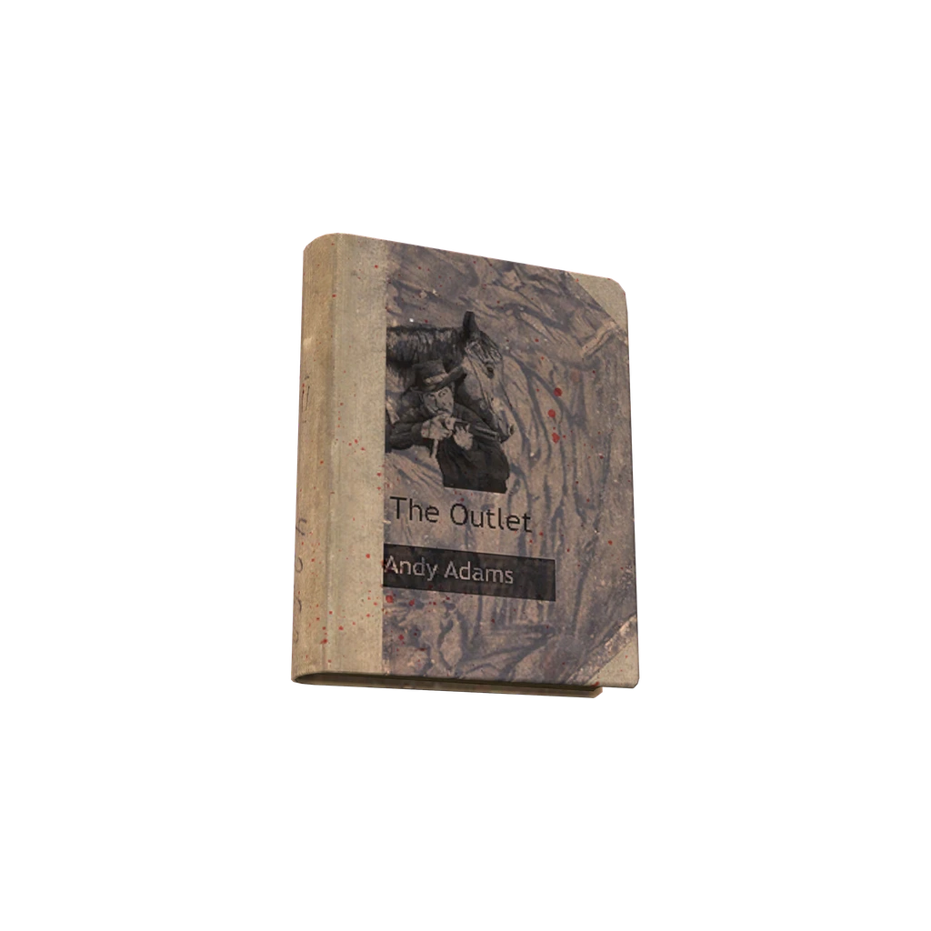 The Outlet (BookTheOutlet), DayZ