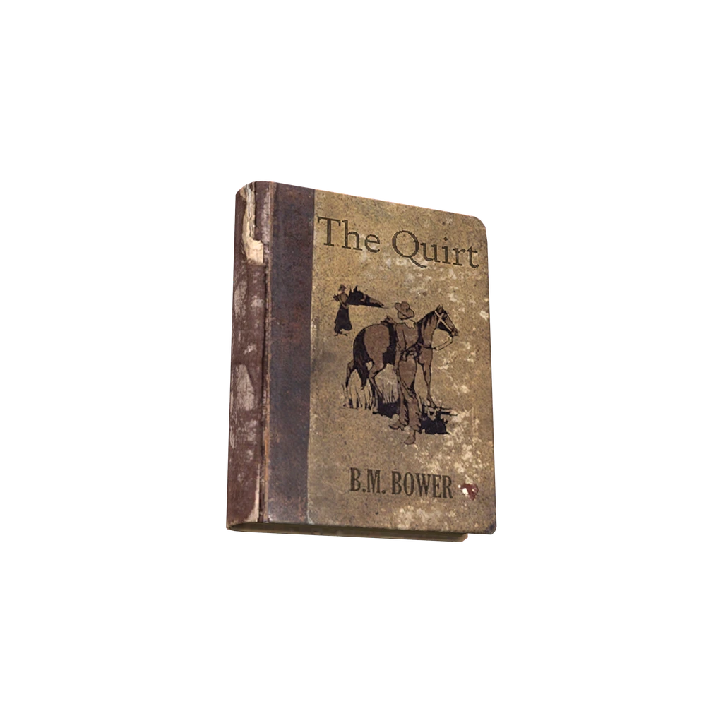 The Quirt (BookTheQuirt), DayZ