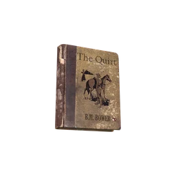 The Quirt