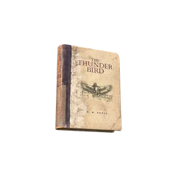 The Thunder Bird