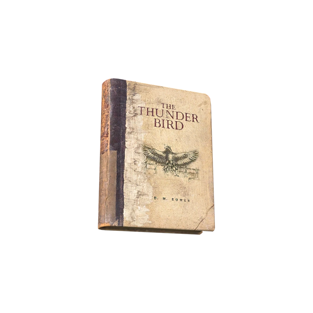 The Thunder Bird (BookTheThunderBird), DayZ