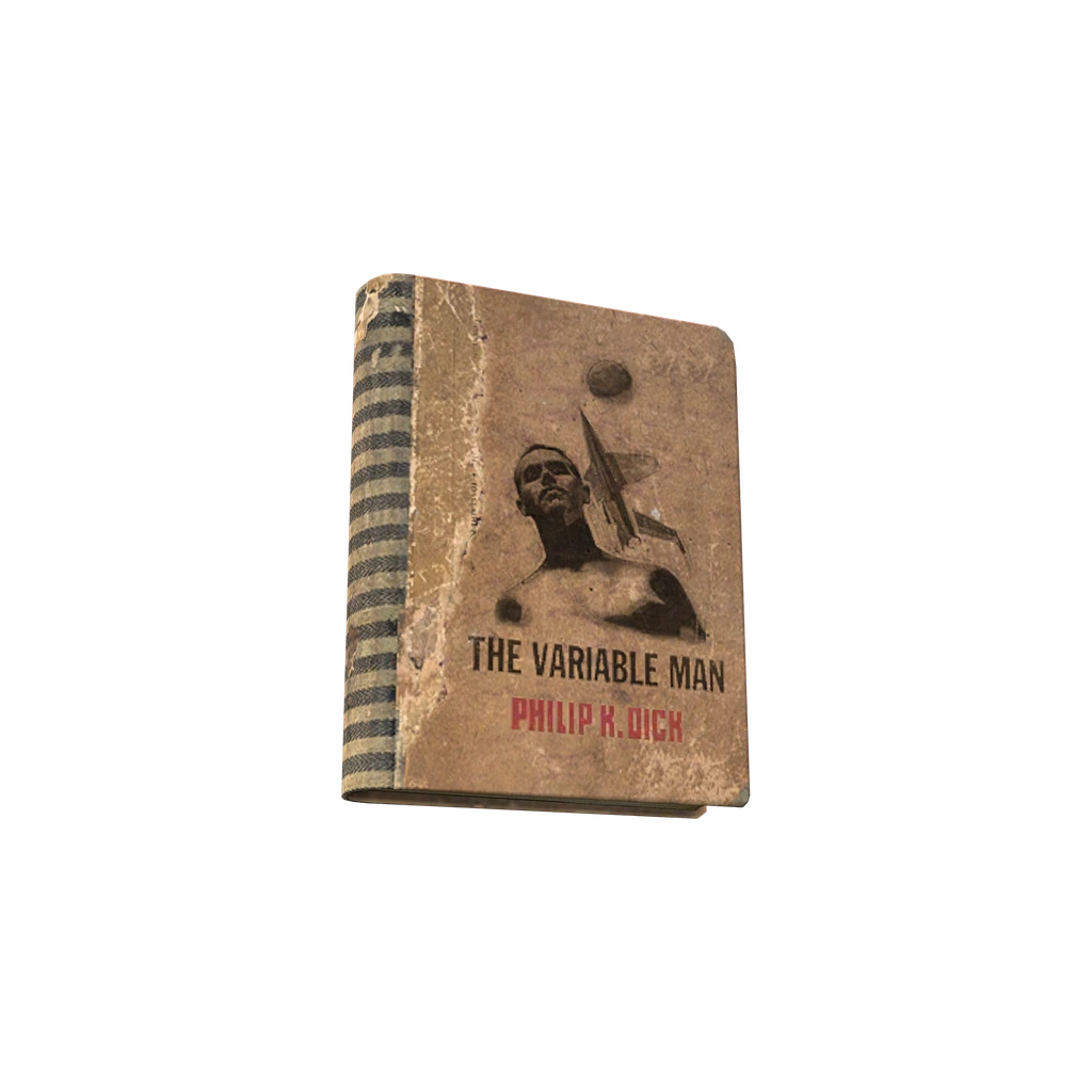 The Variable Man (BookTheVariableMan), DayZ