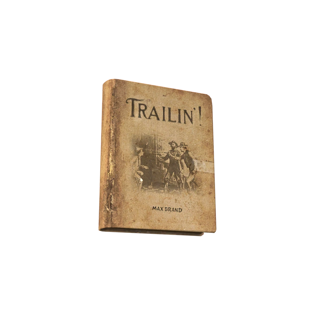 Trailin'! (BookTrailin), DayZ