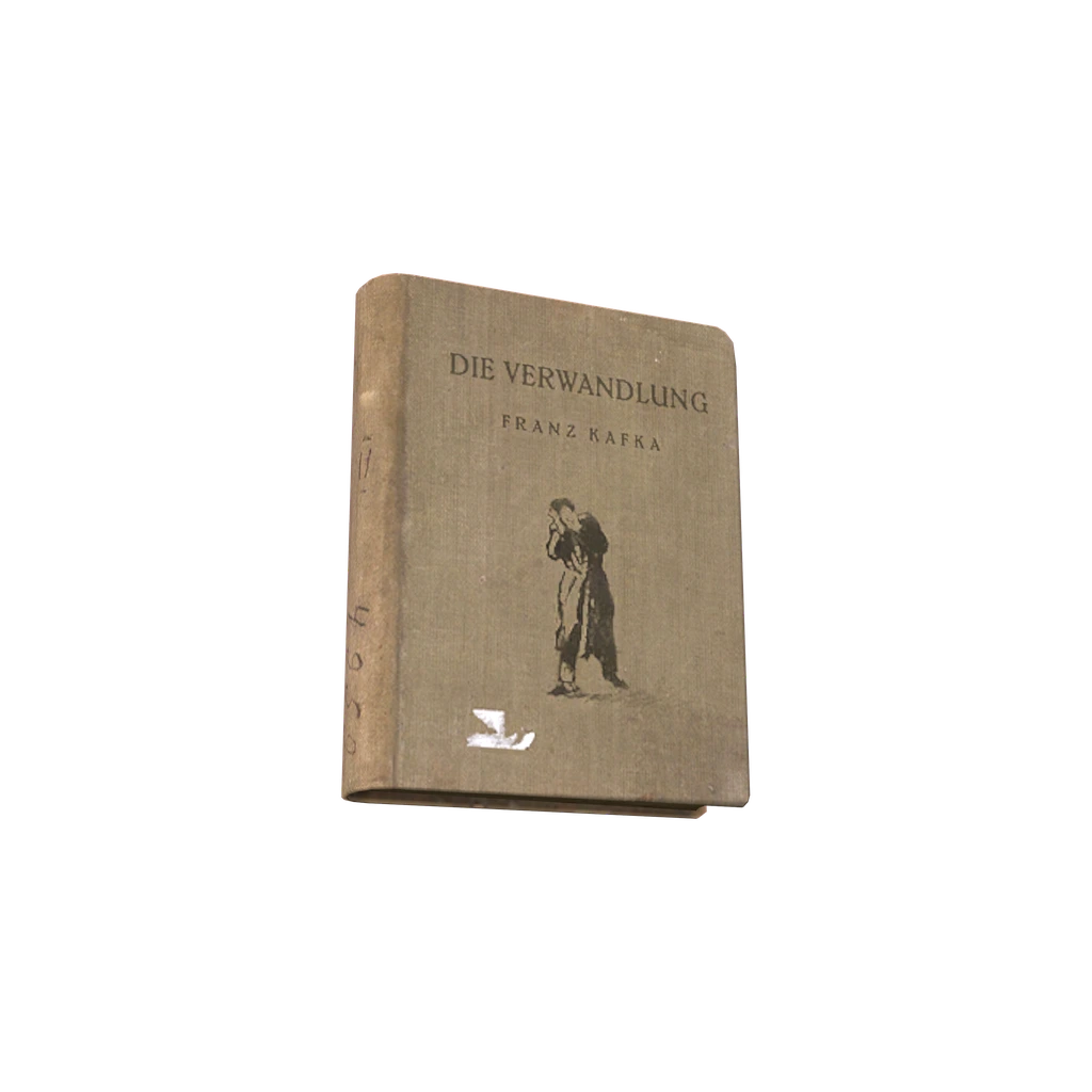 Die Verwandlung (BookVerwandlung), DayZ