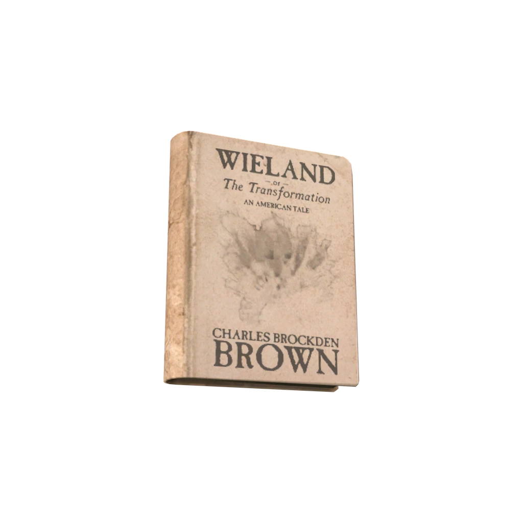 Wieland or The Transformation (BookWielandOrTheTransformation), DayZ