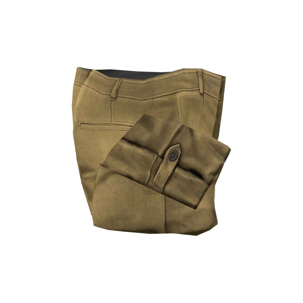 Брюки капри (Breeches_Beige), DayZ