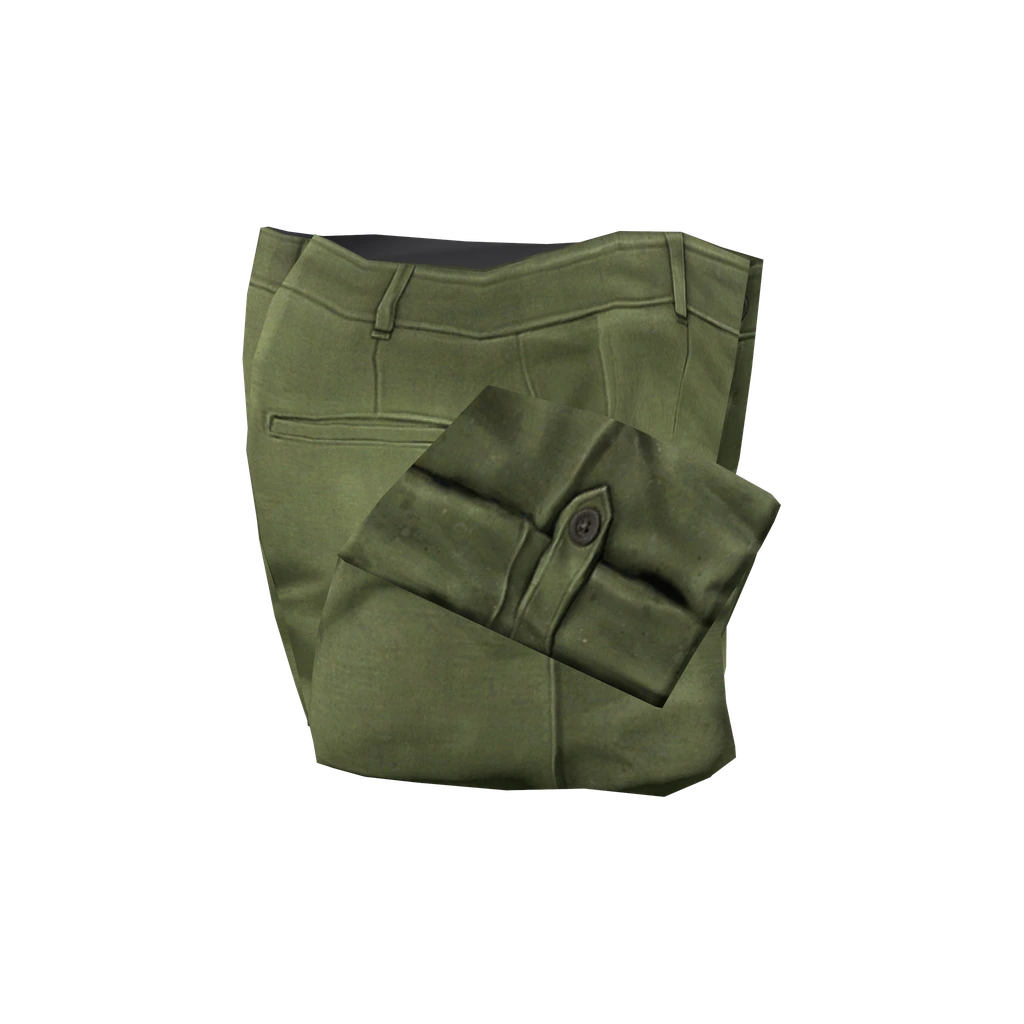 Брюки капри (Breeches_Green), DayZ