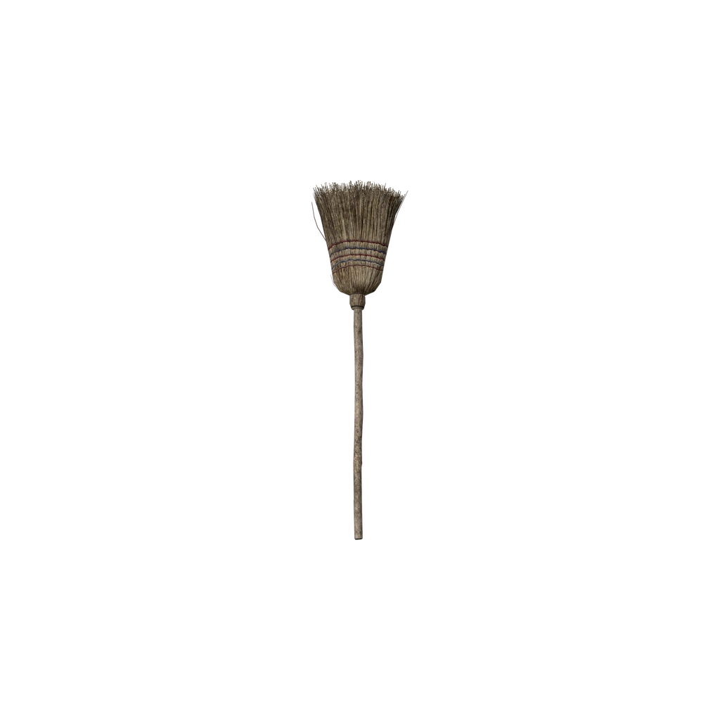 Besen (Broom), DayZ