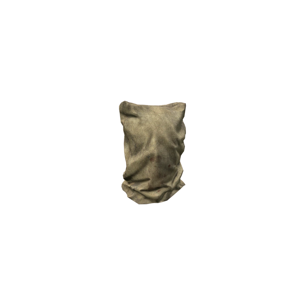 Мешок (BurlapSackCover), DayZ