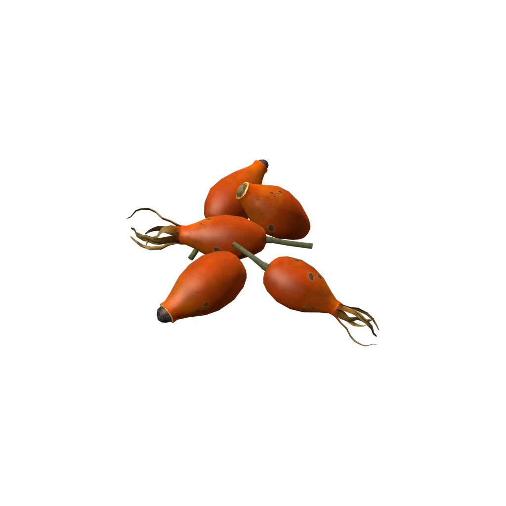 Шиповник (CaninaBerry), DayZ