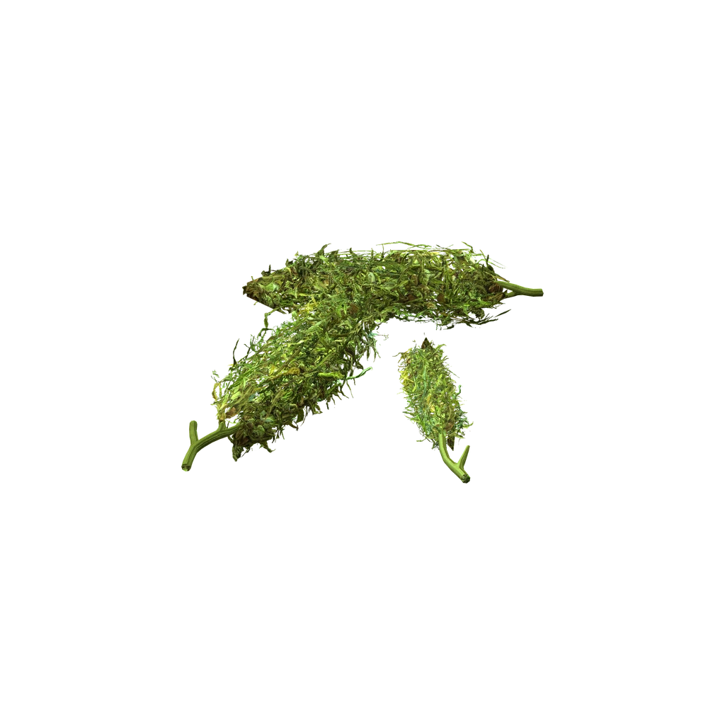 Cannabis, DayZ