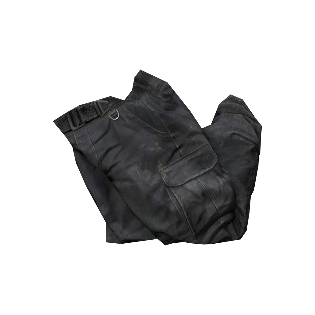 Cargohose (CargoPants_Black), DayZ