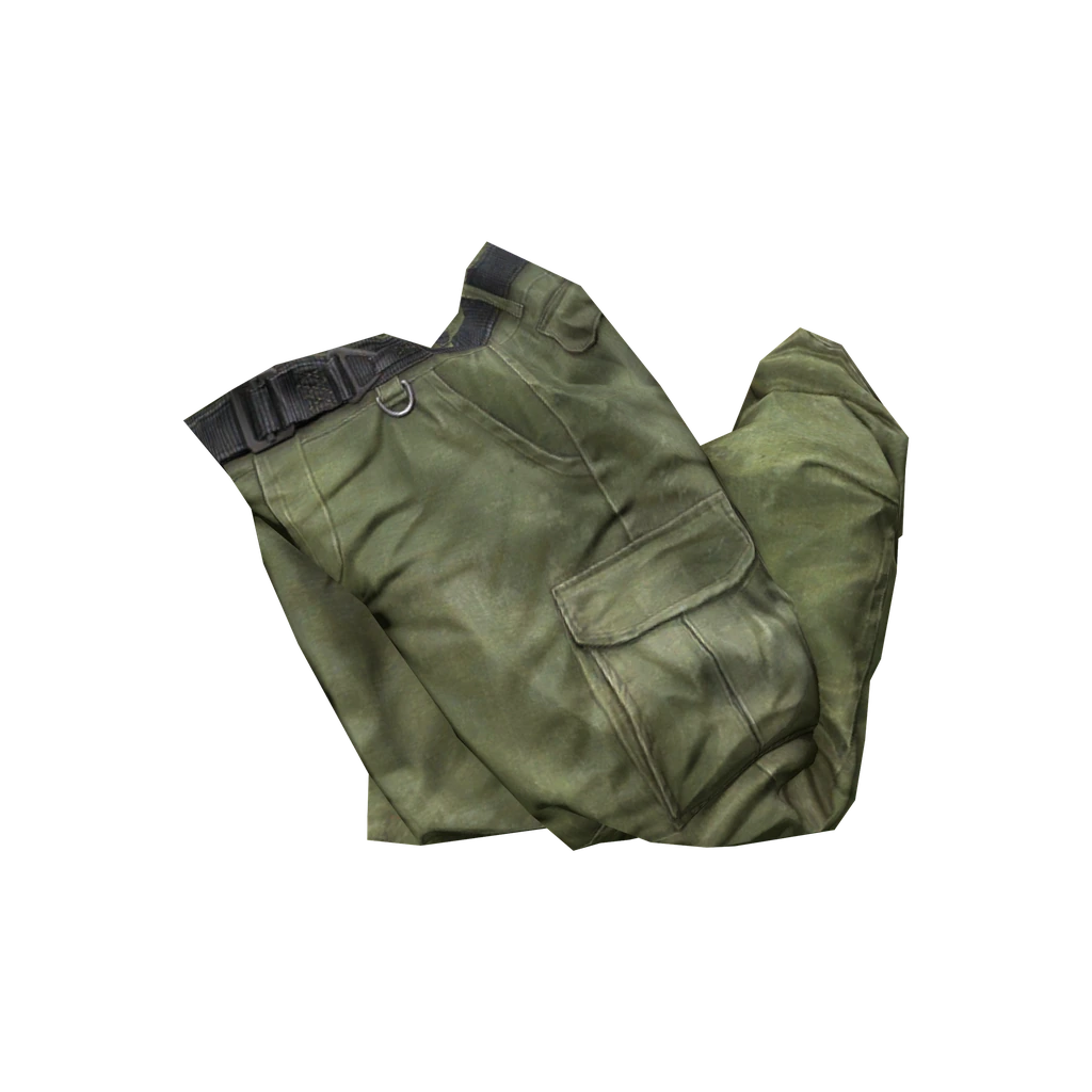 Cargo Pants (CargoPants_Green), DayZ