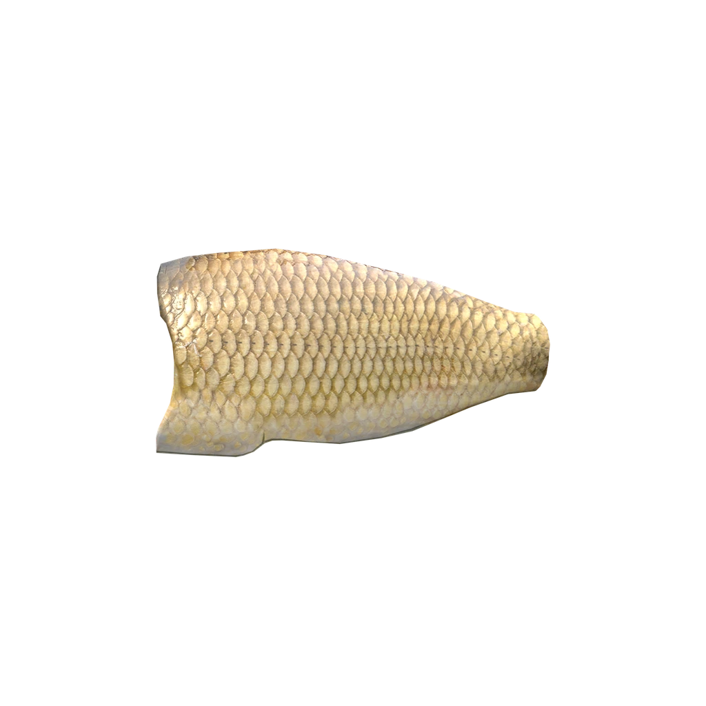 Carp Fillet (CarpFilletMeat), DayZ