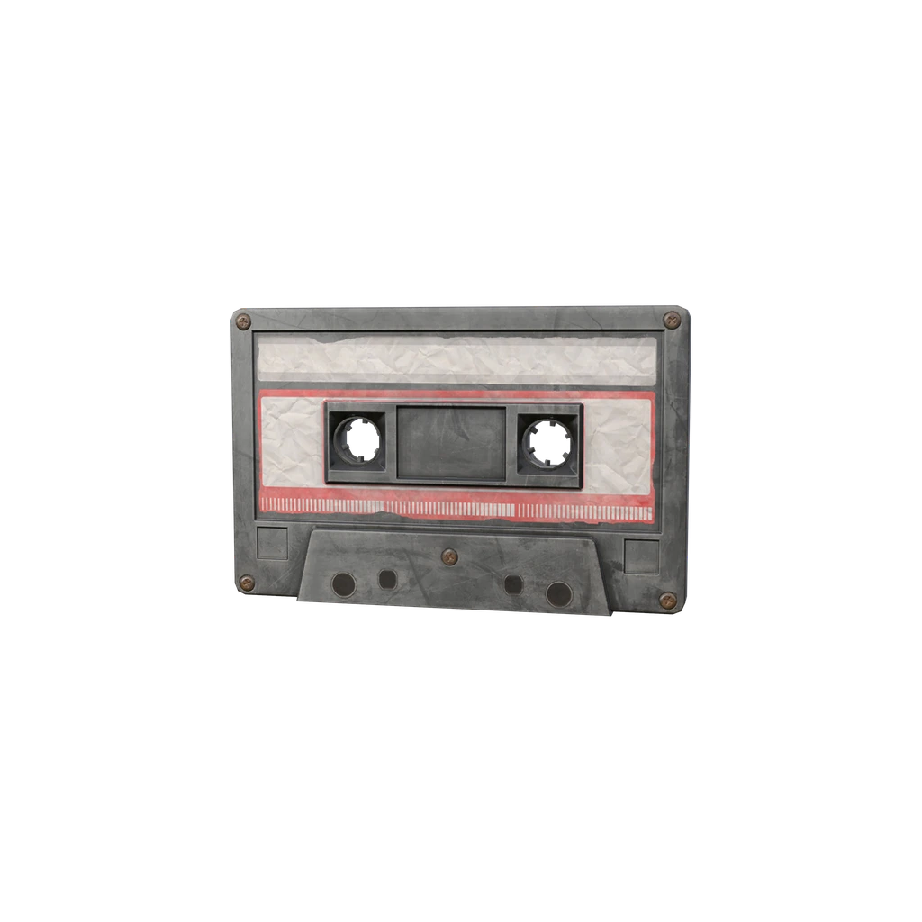 Cassette, DayZ
