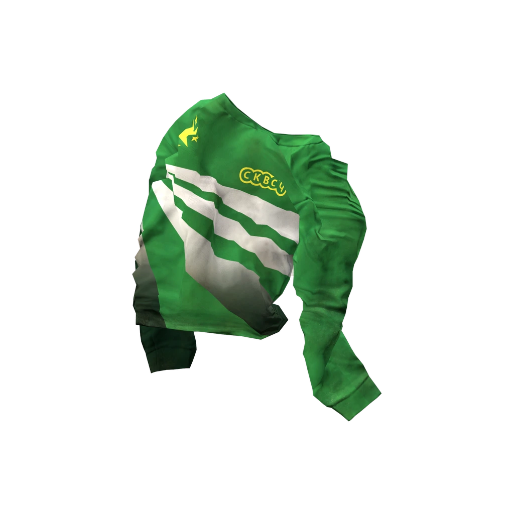 运动衫 (ChernarusSportShirt), DayZ