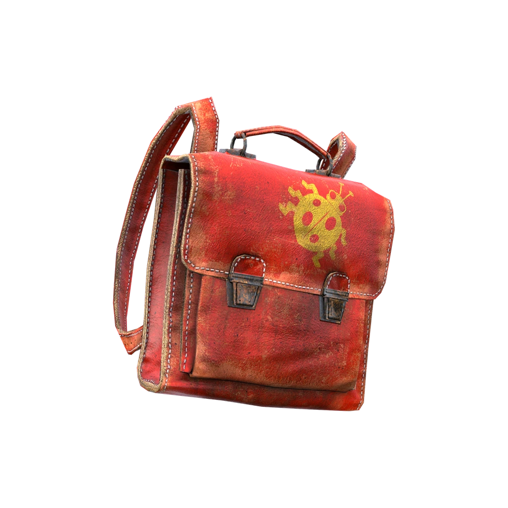 Школьный рюкзак (ChildBag_Red), DayZ