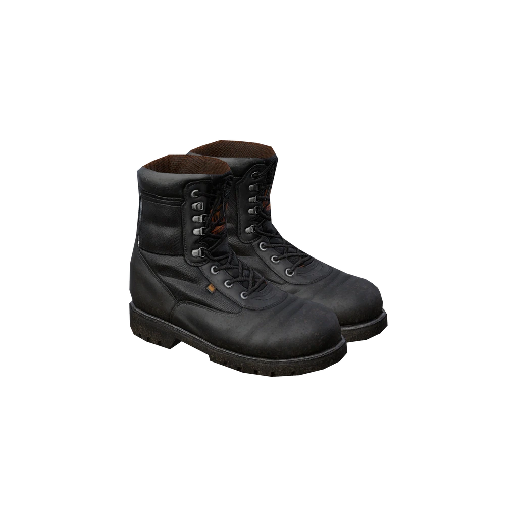 Jagdstiefel (CombatBoots_Black), DayZ