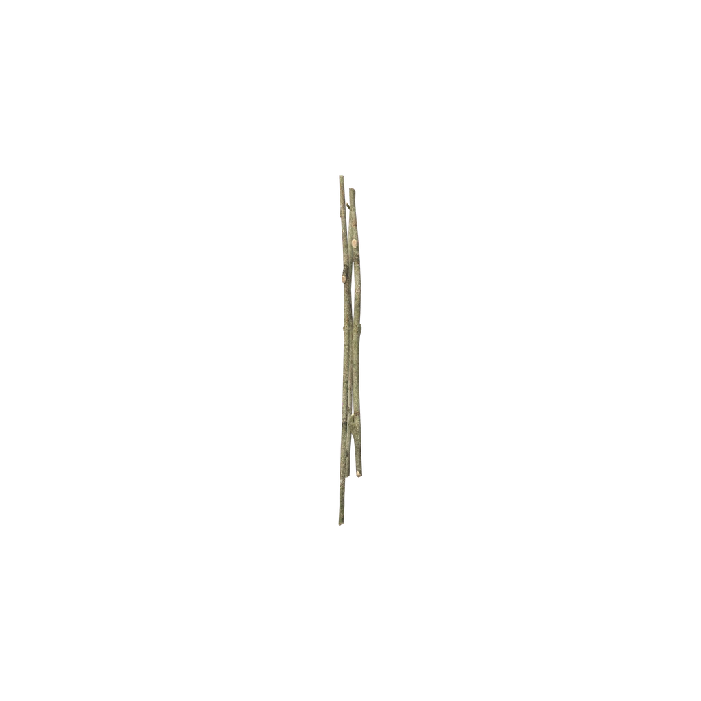 Cooking Stand (CookingStand), DayZ
